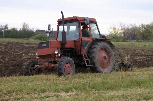 traktor-ltz-55